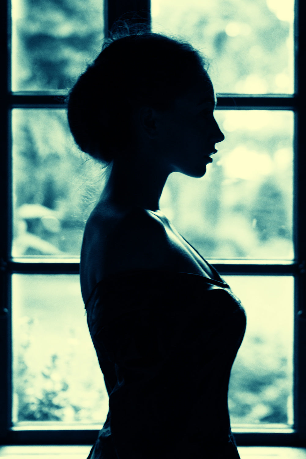 The window Poster och Canvastavla