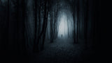 The Dark Path Poster och Canvastavla