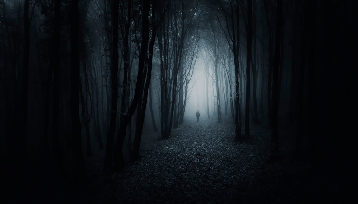 The Dark Path Poster och Canvastavla