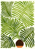 Summer Fern Tall Poster och Canvastavla