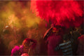 Holi Poster och Canvastavla