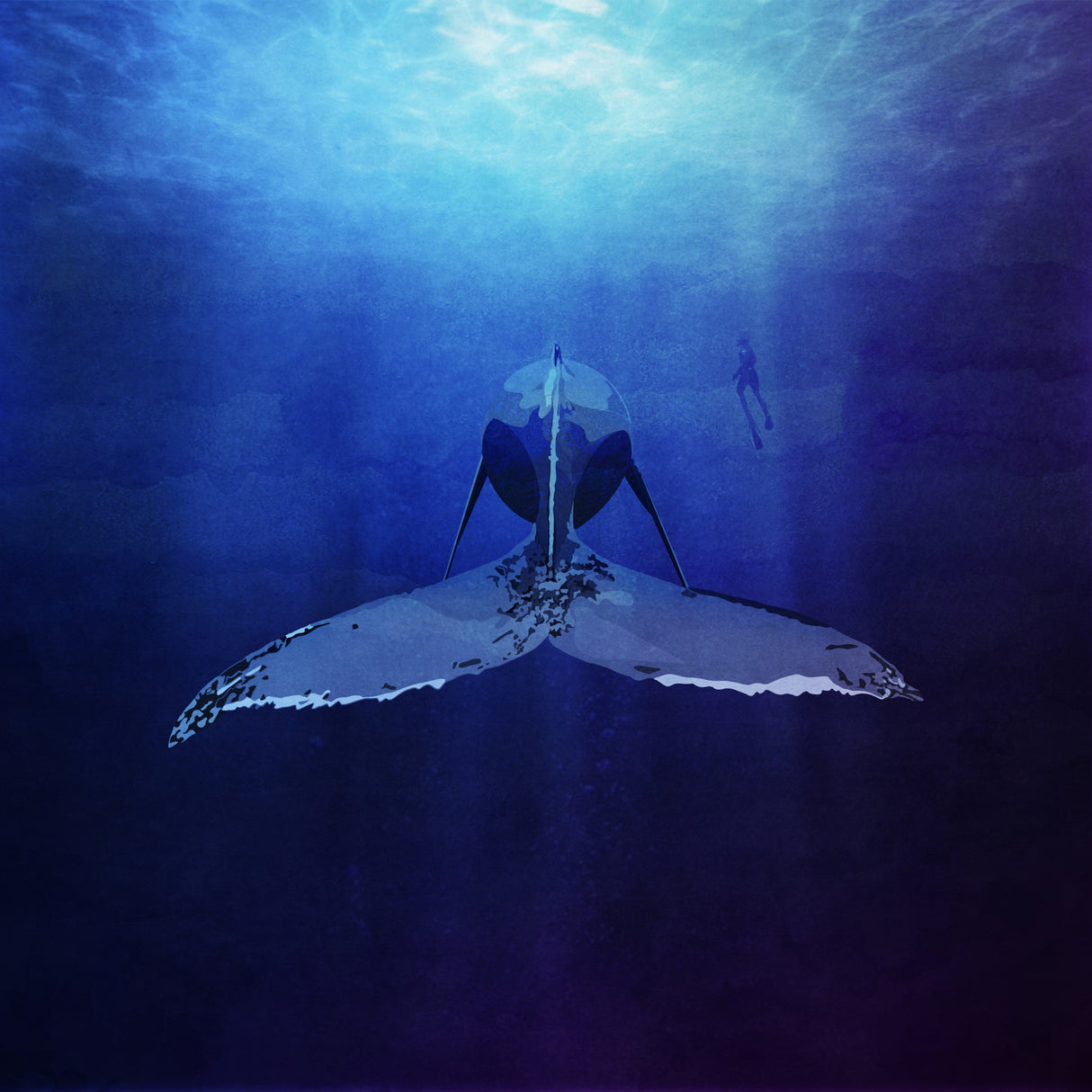 Whale Poster och Canvastavla
