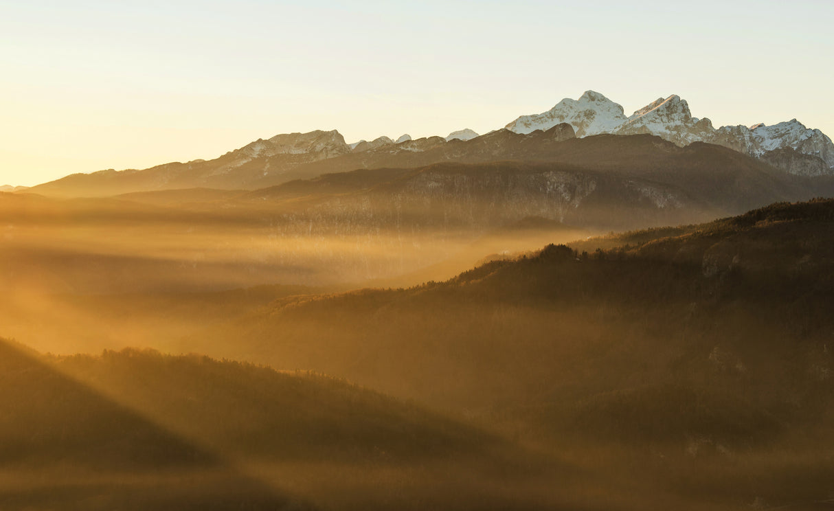 Evening mist Poster och Canvastavla