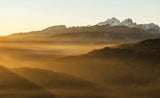 Evening mist Poster och Canvastavla