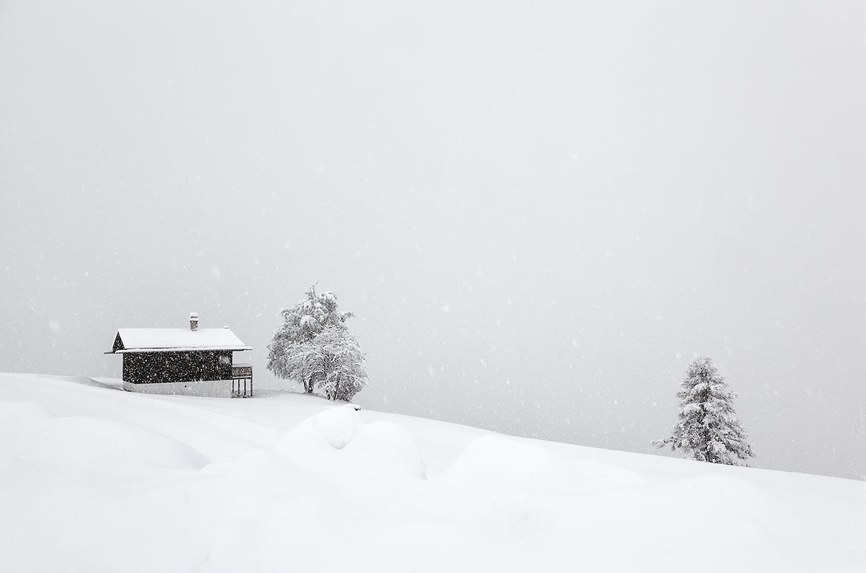 winter dreams Poster och Canvastavla