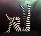 Novelty striped four-leggs No 1 Poster och Canvastavla