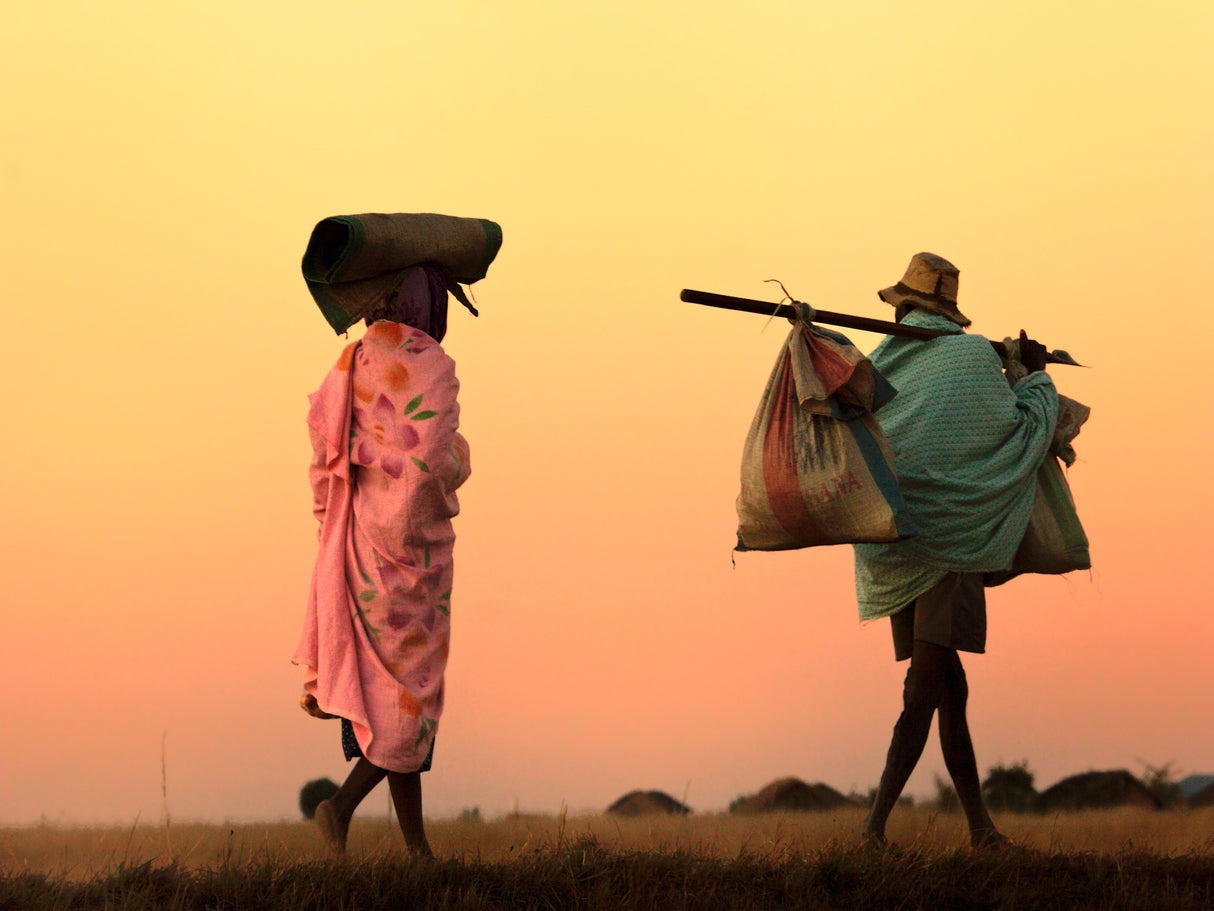 back home at sunset Poster och Canvastavla