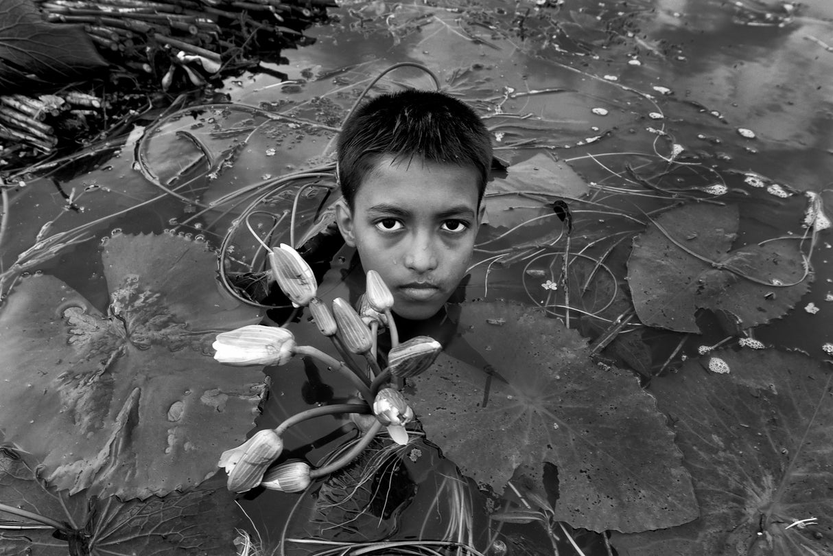Child with waterlily Poster och Canvastavla