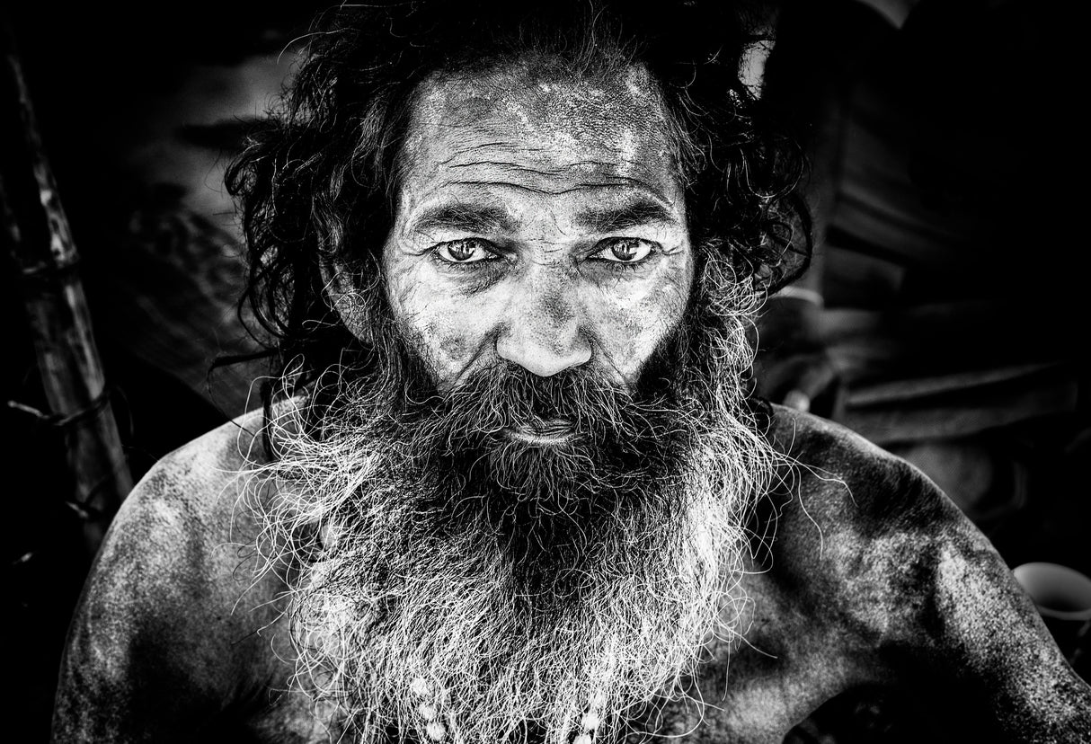 Sadhu at the Kumbh Mela - Prayagraj - India Poster och Canvastavla