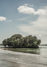 Weligama Poster och Canvastavla
