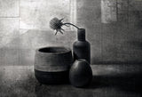Poster och Canvastavla