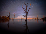 Dawn of Yarrawonga Poster och Canvastavla