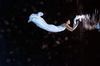 Underwater Bride Poster och Canvastavla