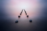 Alone in the silence Poster och Canvastavla
