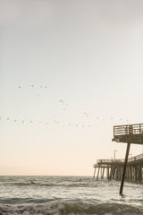 California Surfers Poster och Canvastavla