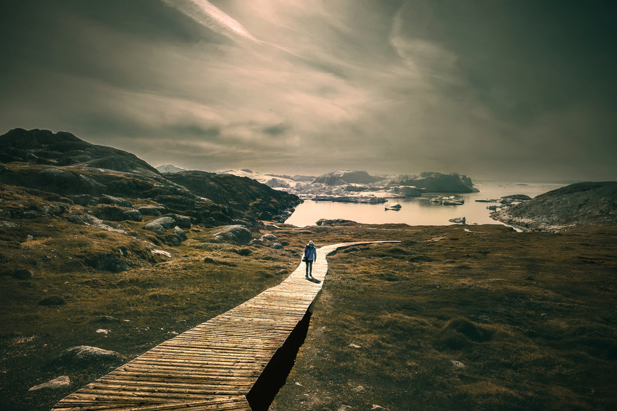 The Road Poster och Canvastavla