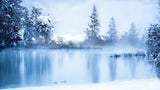 Yellowstone Winter Scene 6 Poster och Canvastavla