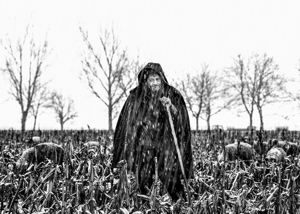 The shepherd from Romania Poster och Canvastavla