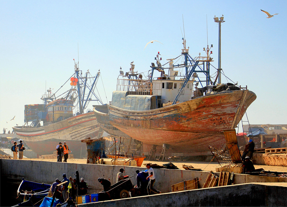 Essaouira Fishing Port - Morocco Poster och Canvastavla