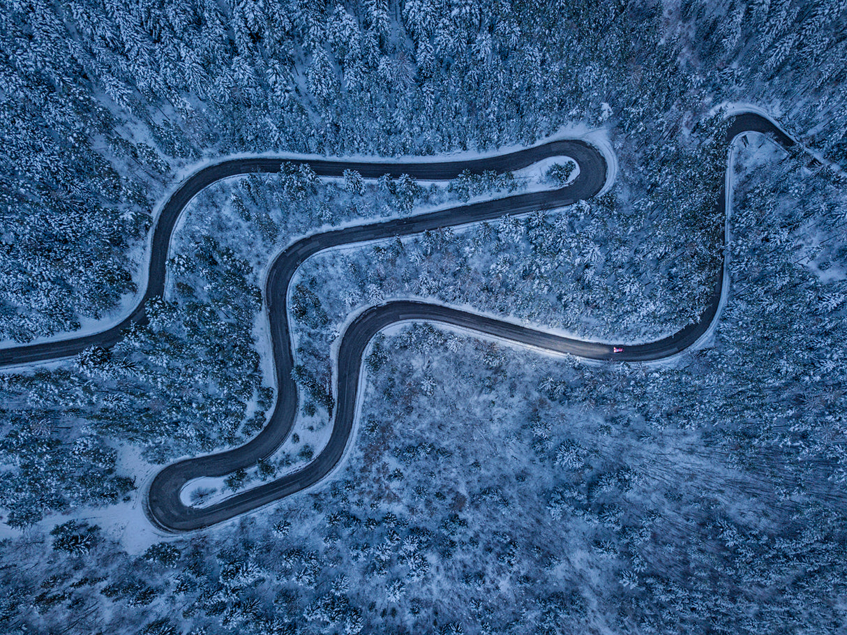 Winding way into the darkness Poster och Canvastavla