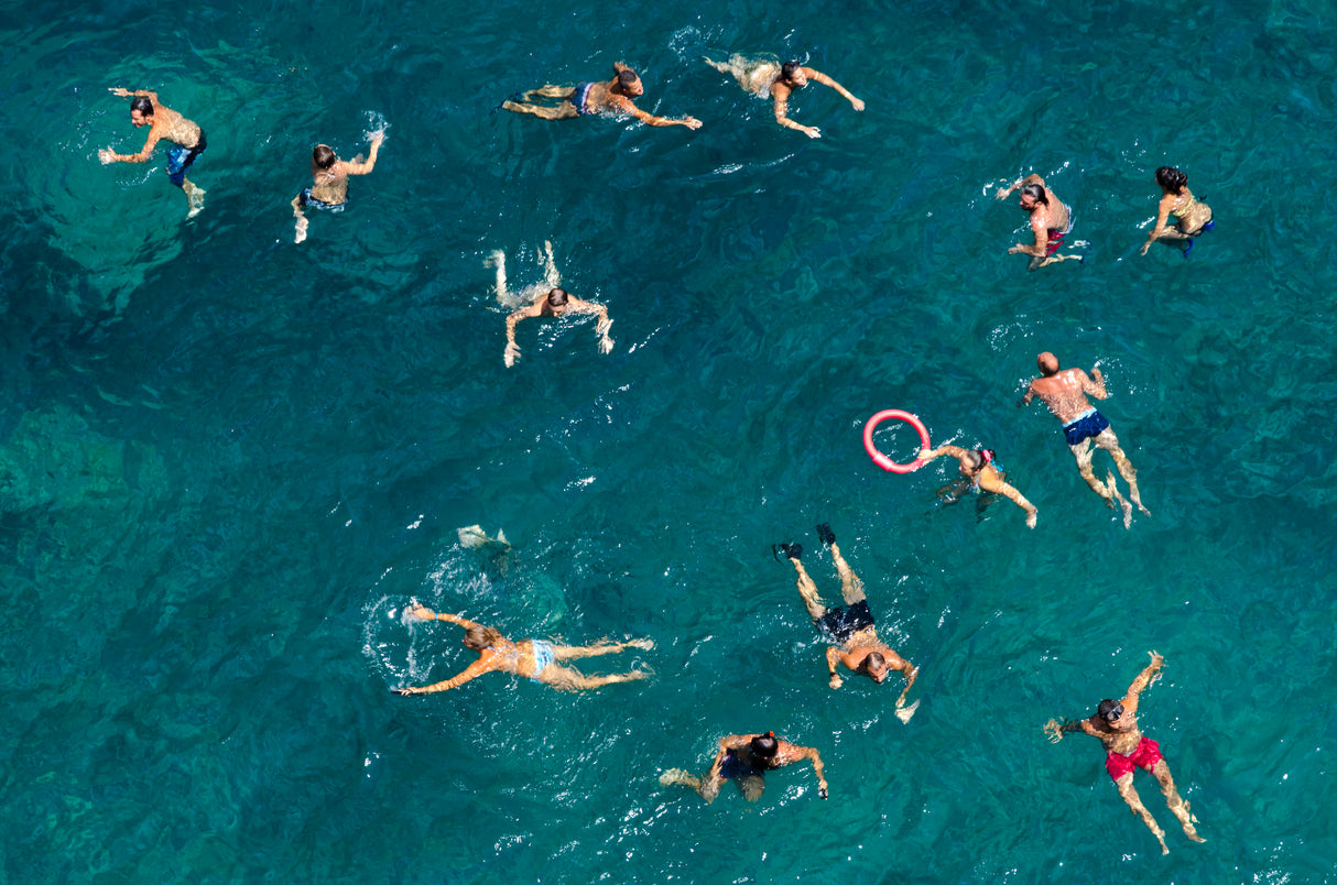 Blue water swim Poster och Canvastavla