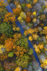 Autumn colors Poster och Canvastavla