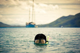 The Diver Poster och Canvastavla