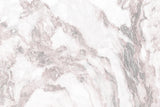 White Mountain Marble 02 Poster och Canvastavla