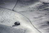 Winter Light Poster och Canvastavla