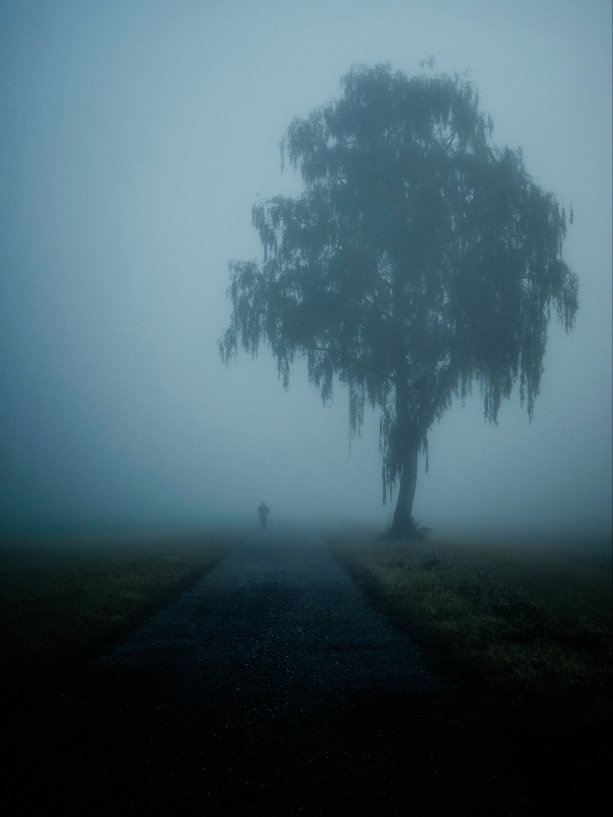 Loneliness Poster och Canvastavla
