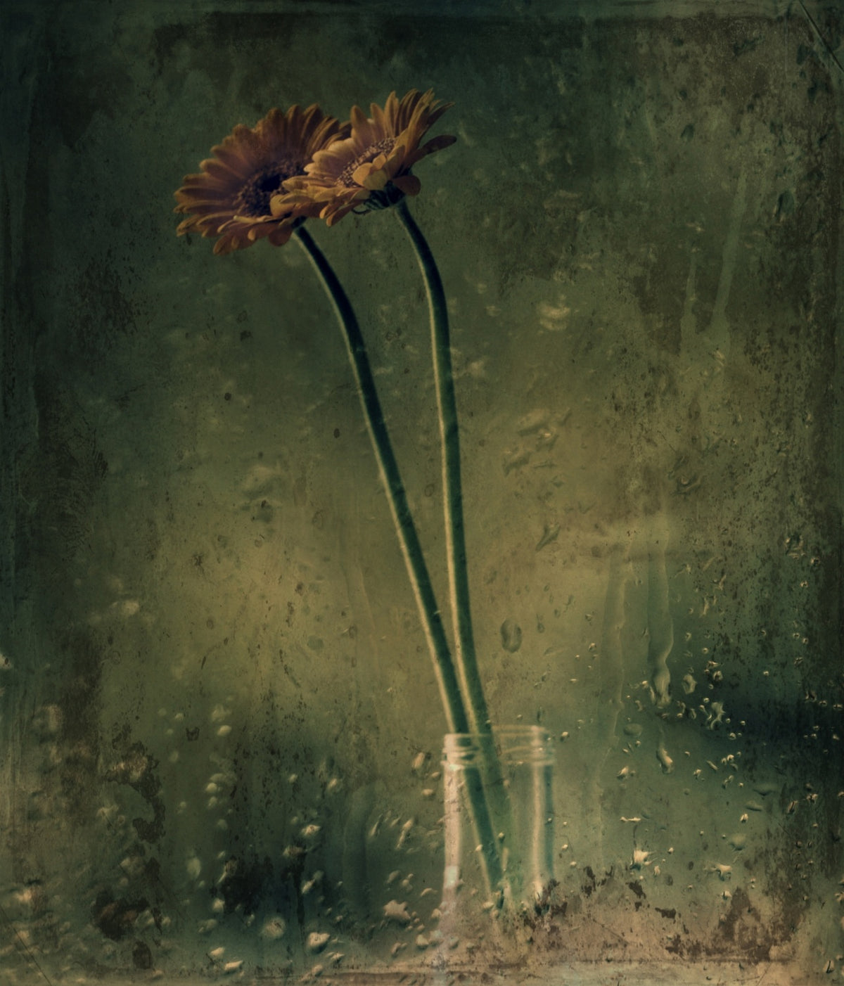 Rainy day Poster och Canvastavla