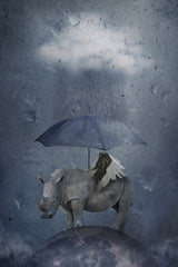 under the rain Poster och Canvastavla