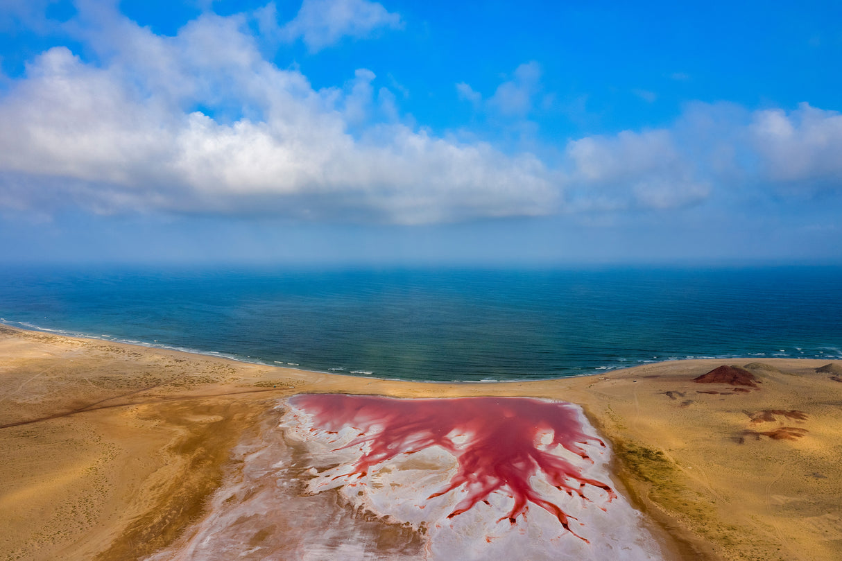 Pink Lake Poster och Canvastavla