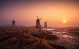Foggy morning Poster och Canvastavla