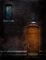 The door Poster och Canvastavla