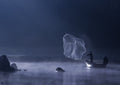 Capture the  Light Poster och Canvastavla