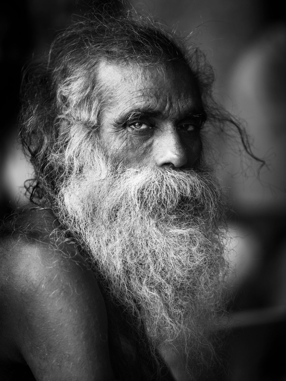 SADHU Poster och Canvastavla