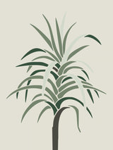 Palm Portrait Poster och Canvastavla