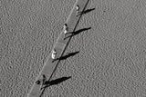 In a row Poster och Canvastavla