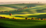 Green fields Poster och Canvastavla