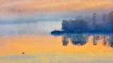 Into the autumn morning Poster och Canvastavla
