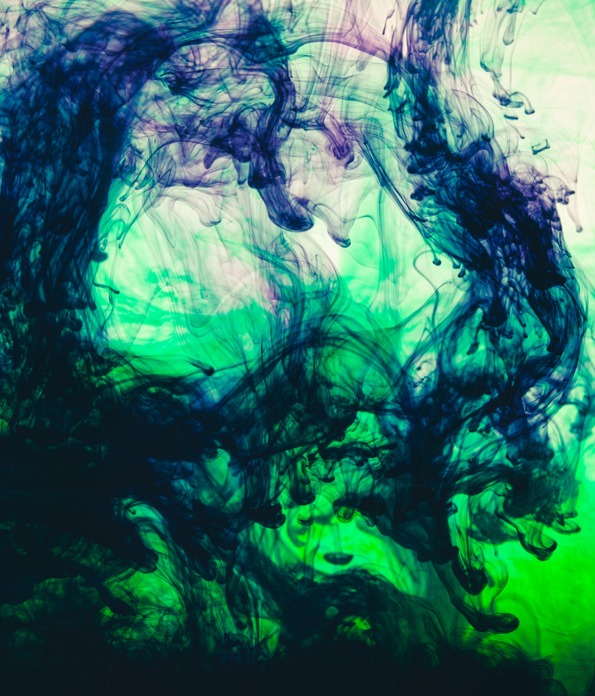 Acrylic colors and ink in water Poster och Canvastavla