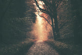 mysterious way Poster och Canvastavla