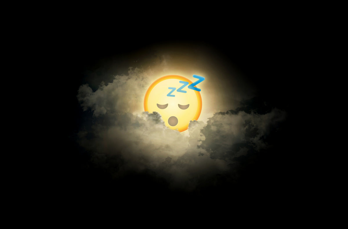Sleeping Internet Poster och Canvastavla