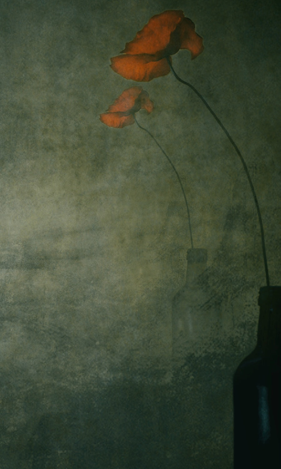 The Preconceived Dream Poster och Canvastavla