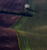 Moravia 7 Poster och Canvastavla