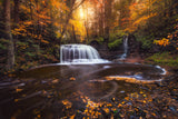 Secret Falls Poster och Canvastavla