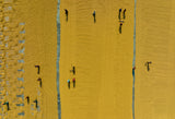 Pattern in Rice Mill Poster och Canvastavla