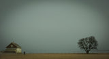Gray weather Poster och Canvastavla