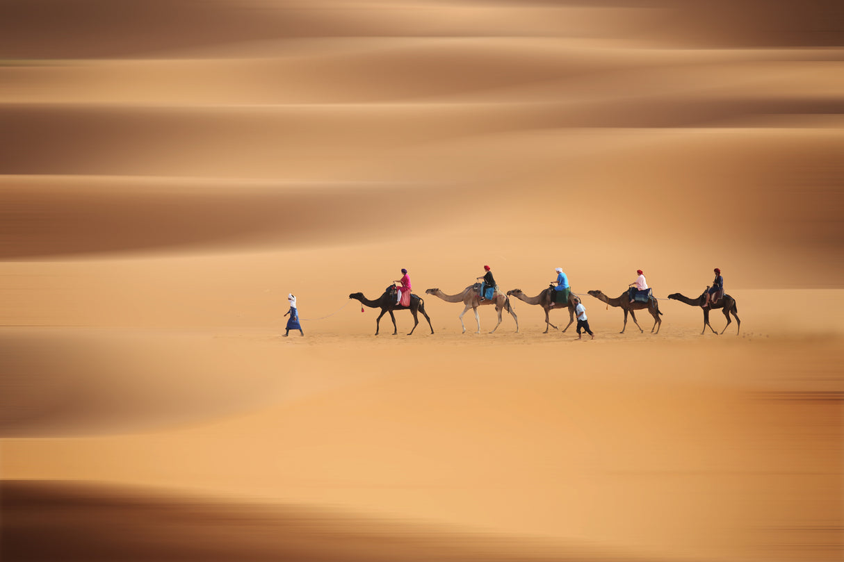 Desert caravan Poster och Canvastavla